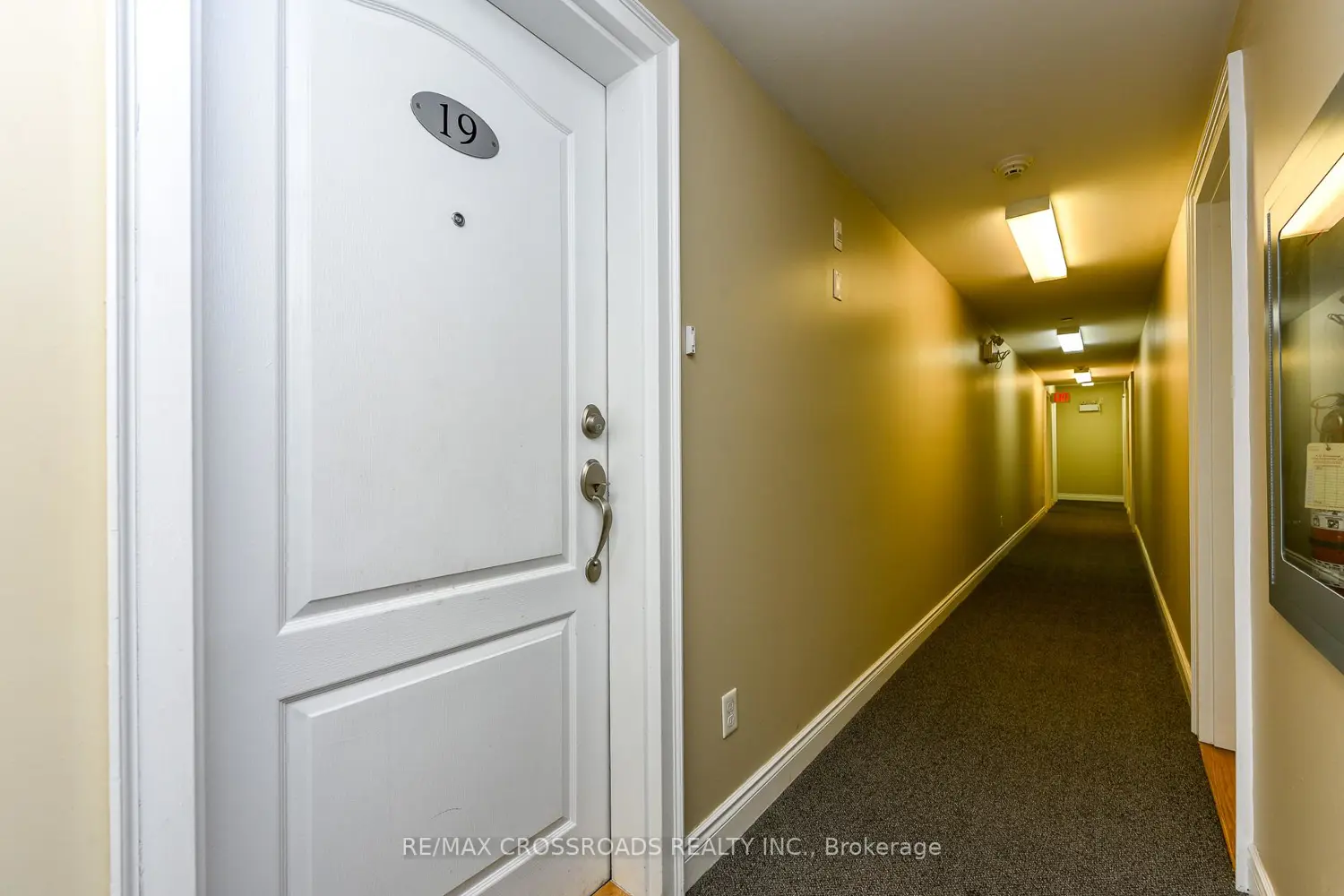 51 Hays Boulevard 19 photo 2