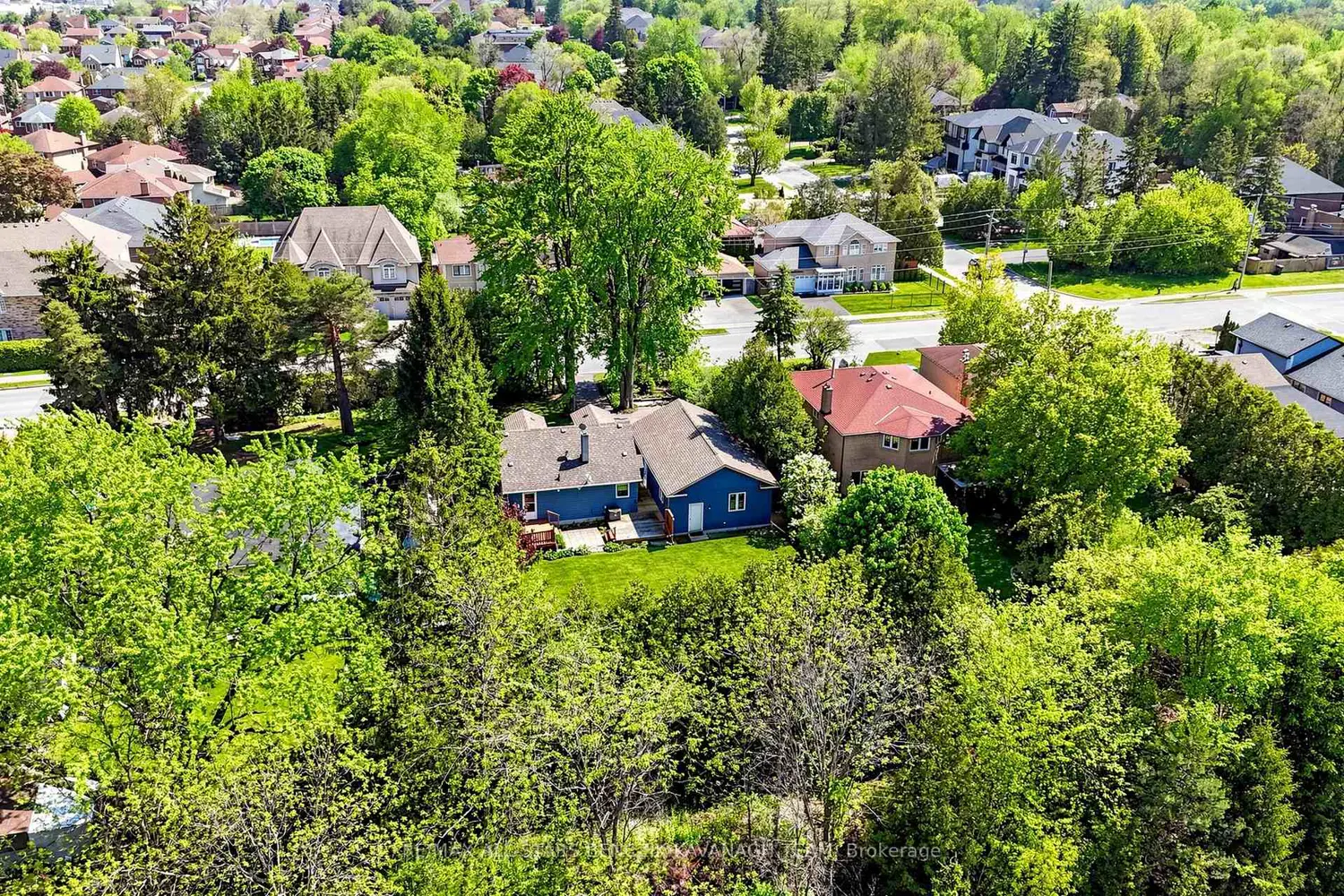 522 Sheppard Avenue photo 5