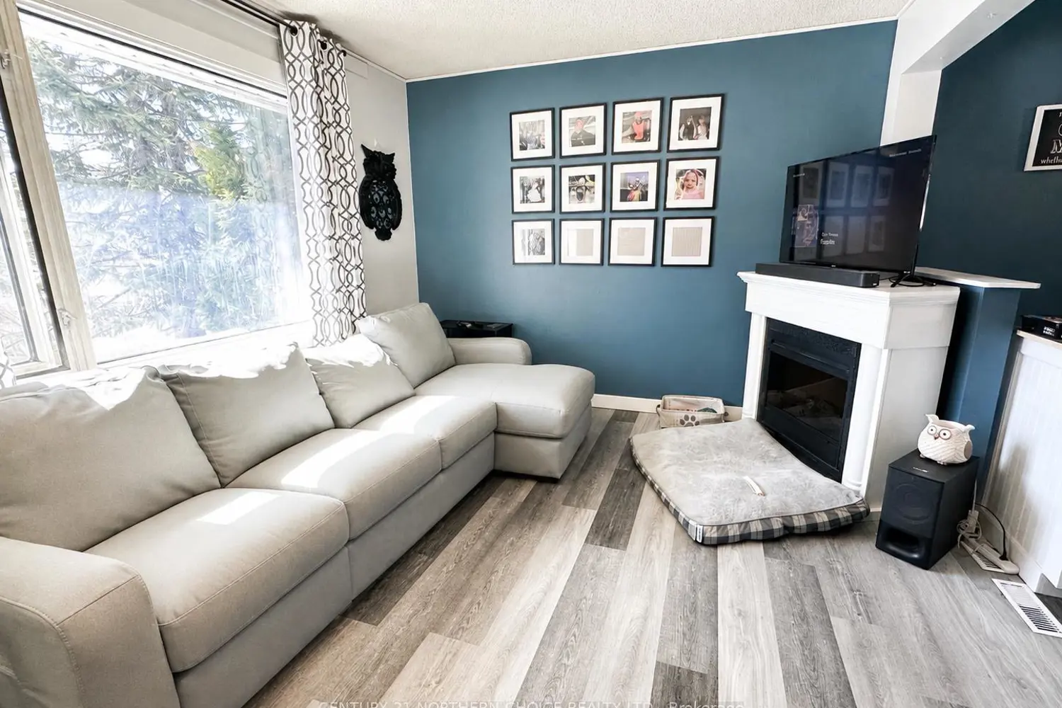 55 Dickenson Road photo 2