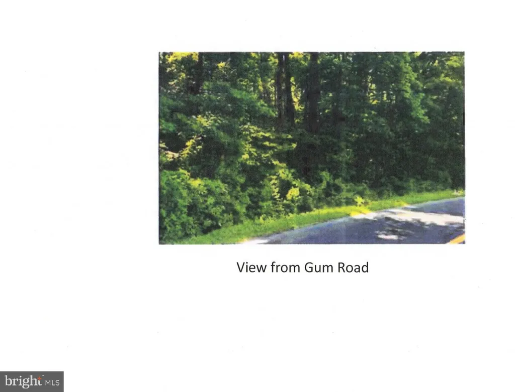 Unknown, Selbyville, DE 19945 photo 4