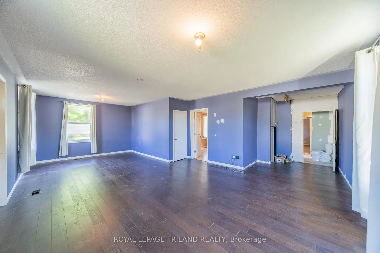 52 Nelson Street photo 5