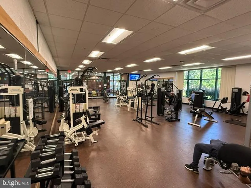 1900 Lyttonsville Road Unit 1217, Silver Spring, MD 20910