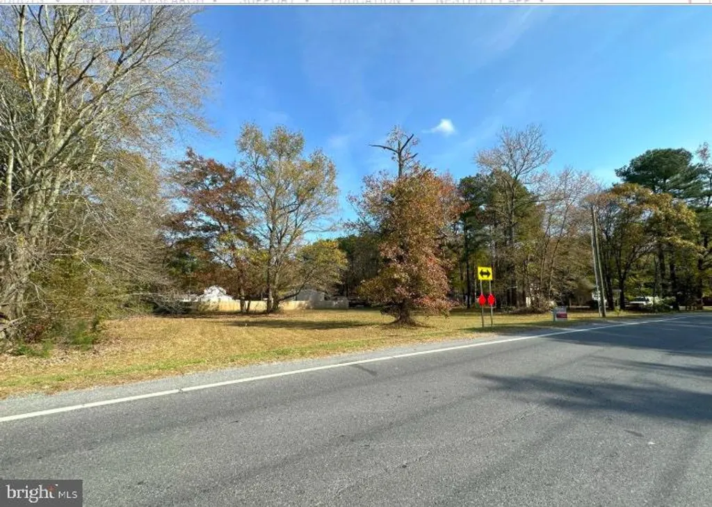 Mount Joy Road, Millsboro, DE 19966 photo 3