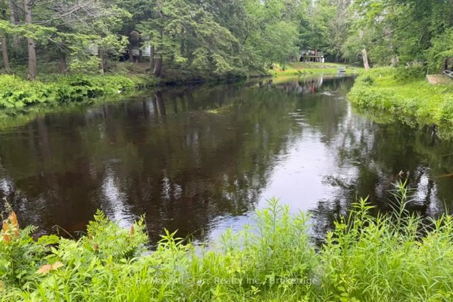 286 Edwina Drive photo 5