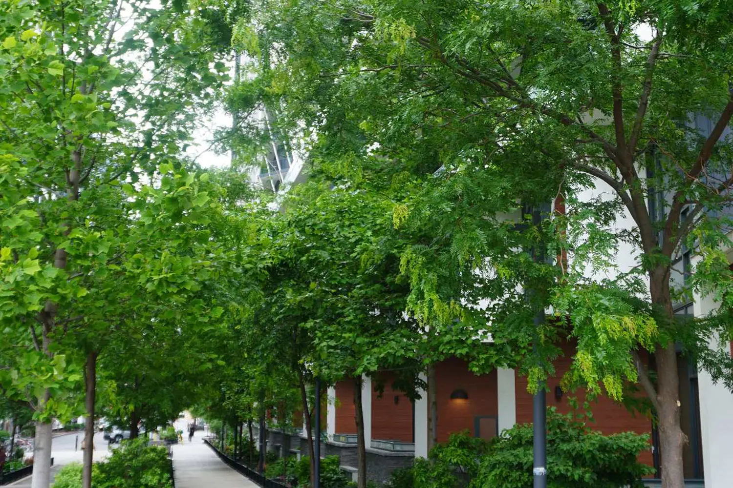 50 Ordnance Street 1411 photo 3
