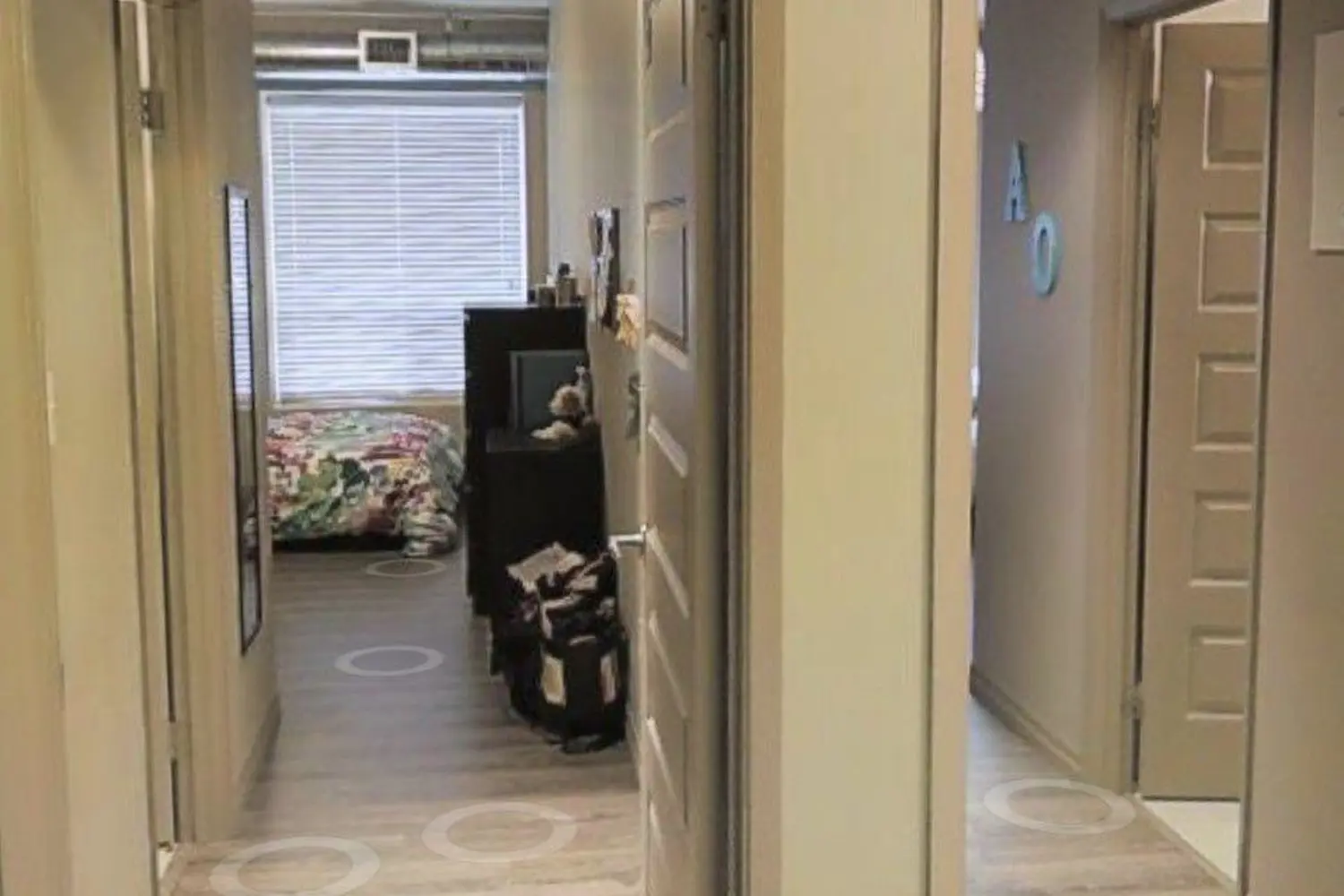 8 Hickory Street 703 photo 5
