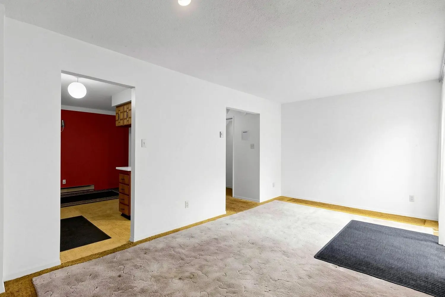 341 Wilson Drive 11 photo 4