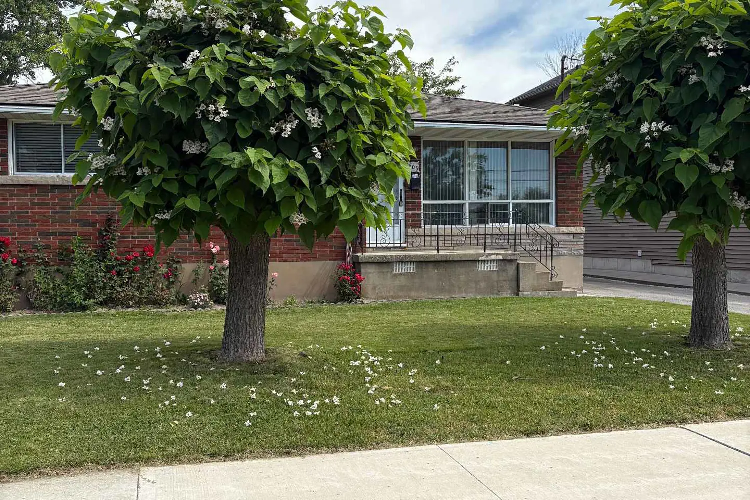 409 Broadway Avenue photo 2