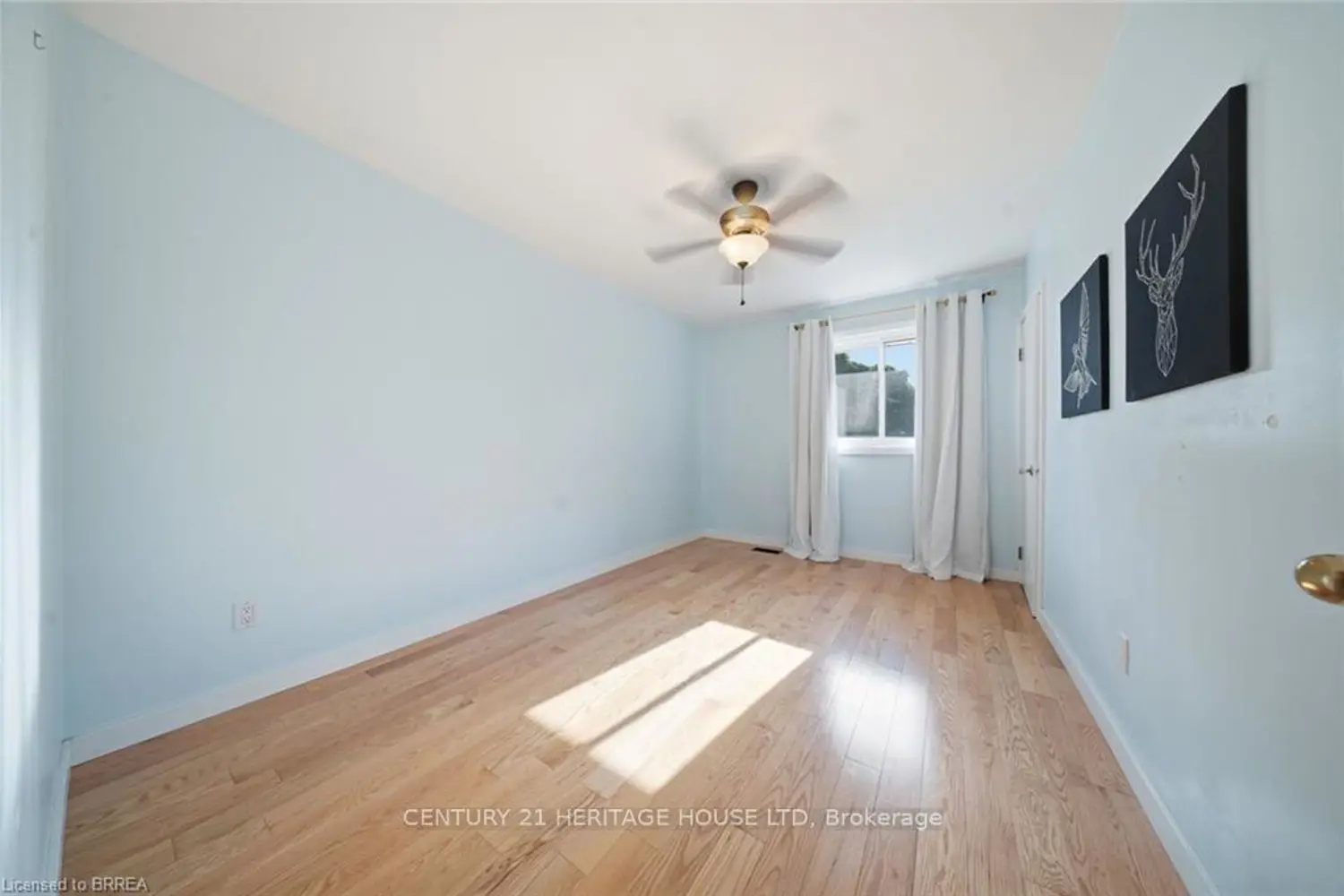 106 Memorial Drive photo 4