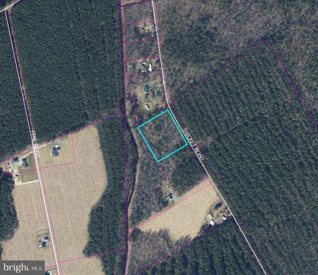Thicket Rd, Milton, DE 19968 photo 3