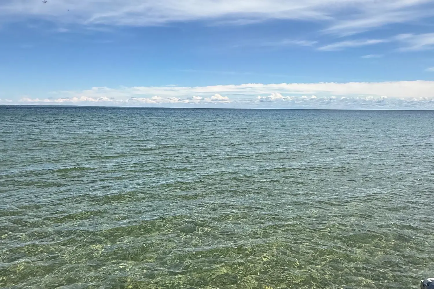 Lot 238 Snake Island photo 4