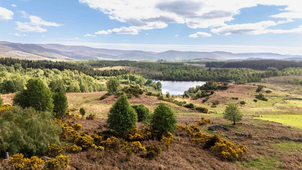 Land for saleErrogie, Inverness, Highland IV2
