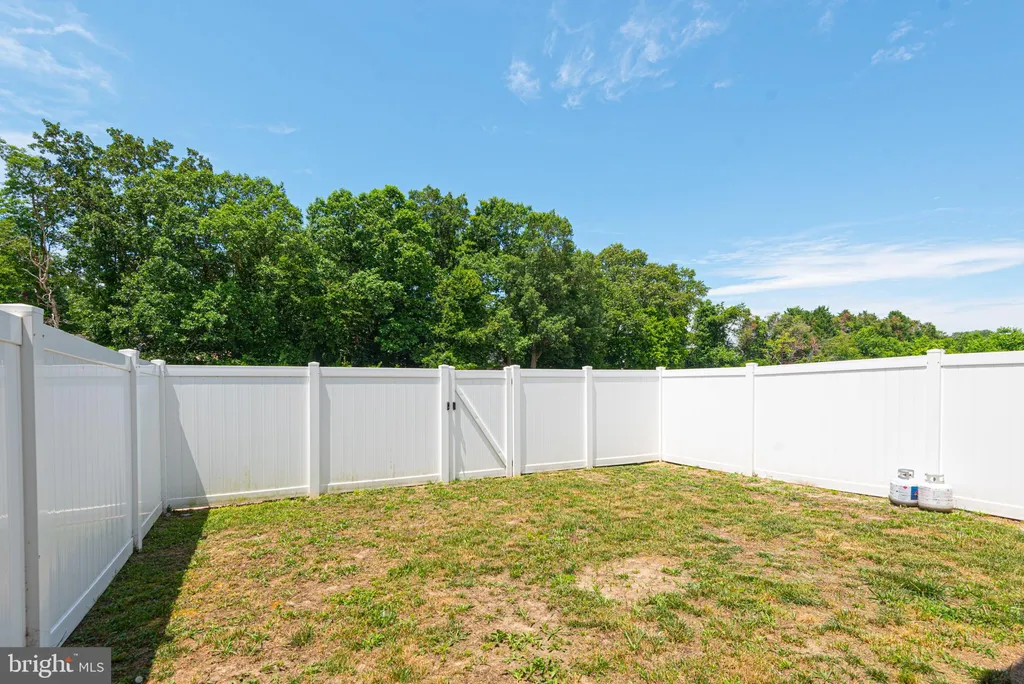 35153 Wright Way, Millsboro, DE 19966 photo 4