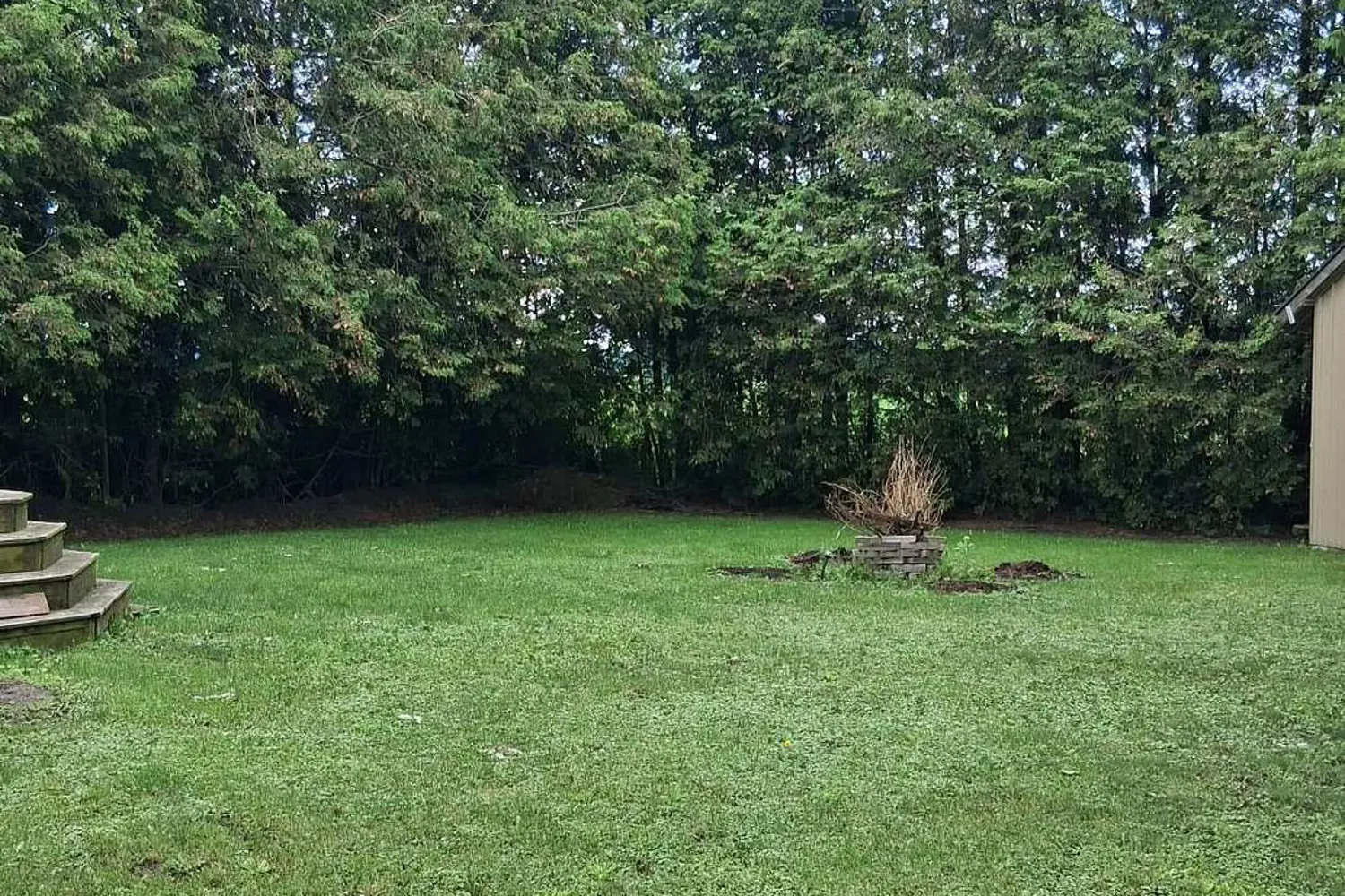 168 Elk Street photo 3