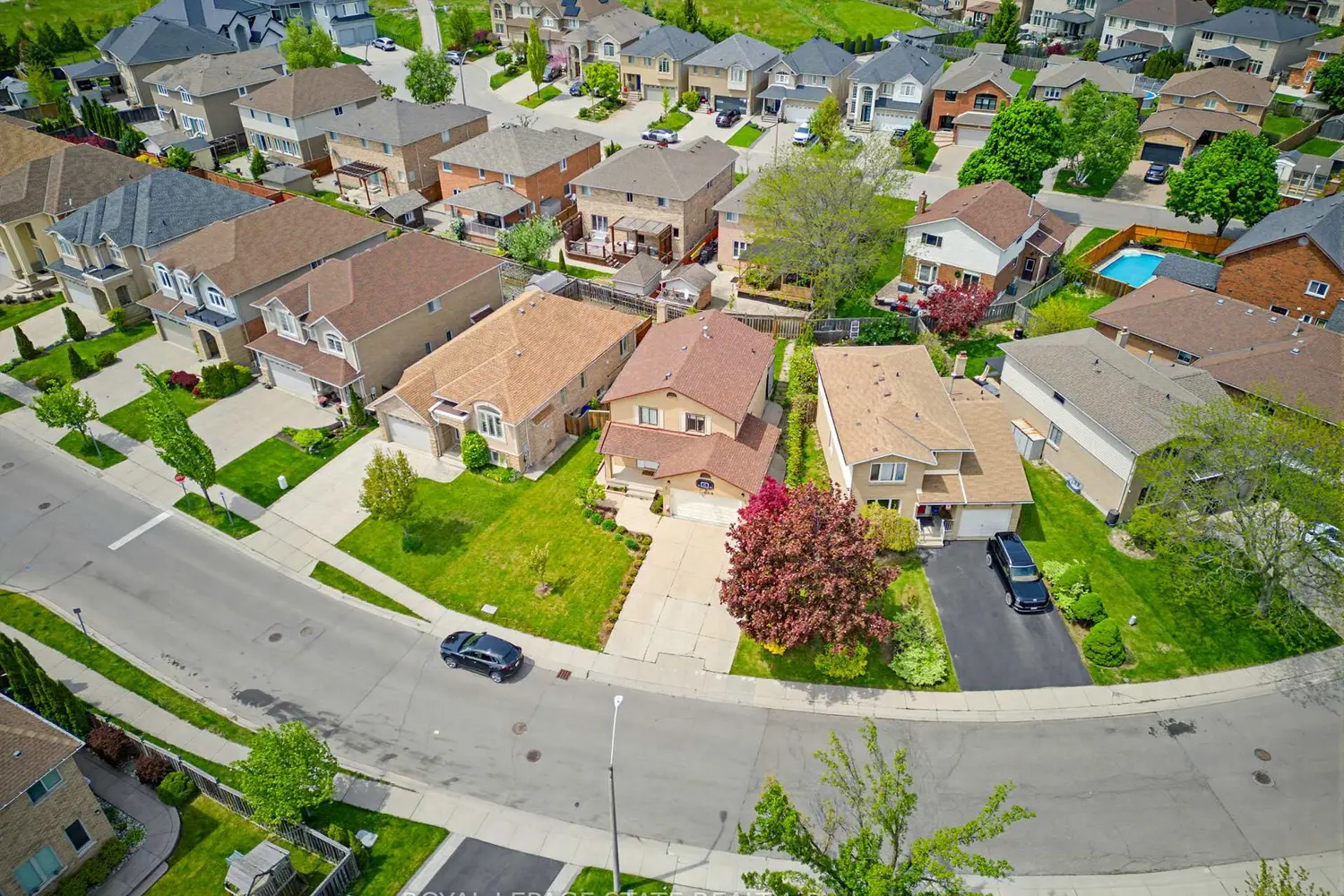 459 Dicenzo Drive photo 3