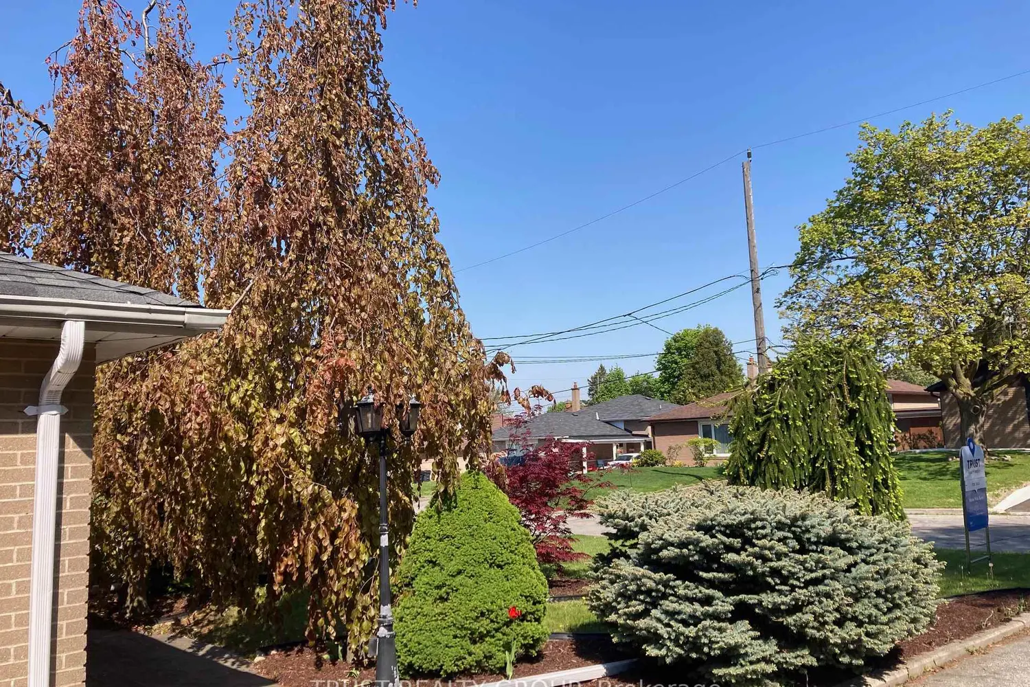 9 Del Ria Drive photo 4