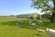 Withgill Fold, Withgill, Clitheroe, BB7 photo 3