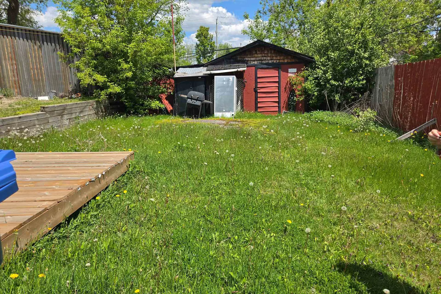 732 Mcintyre Street photo 5