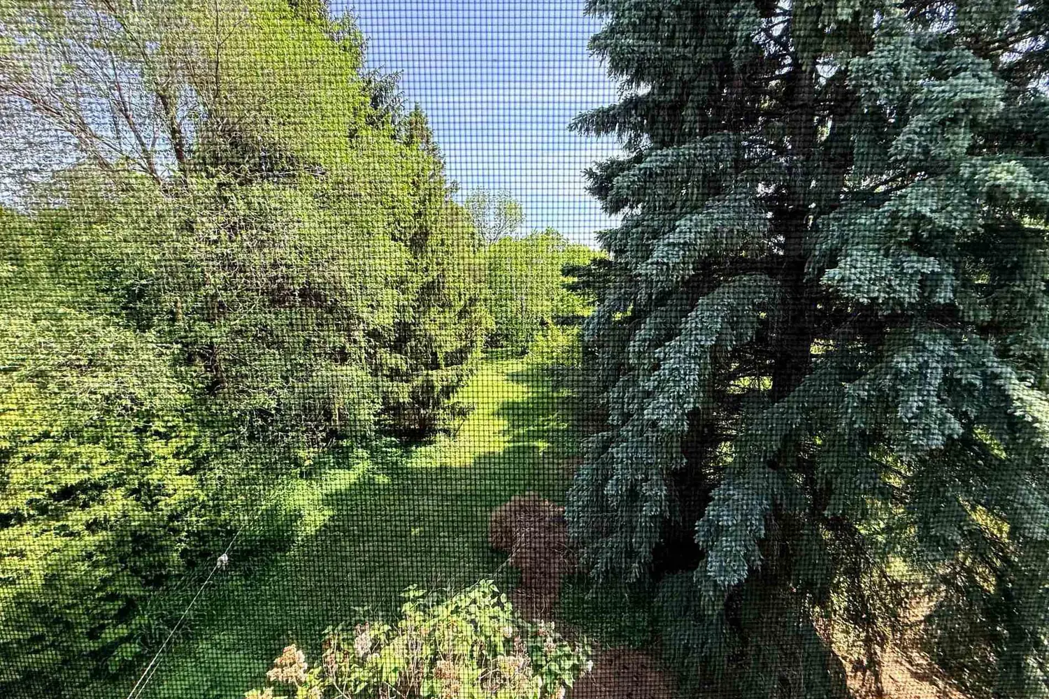 75 Spruce Avenue photo 3