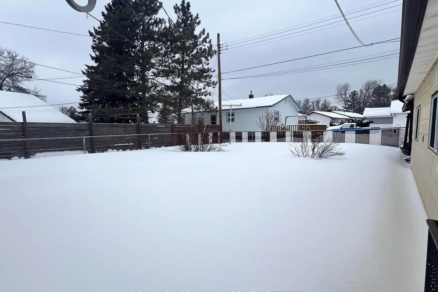 146 Pine Crescent photo 4