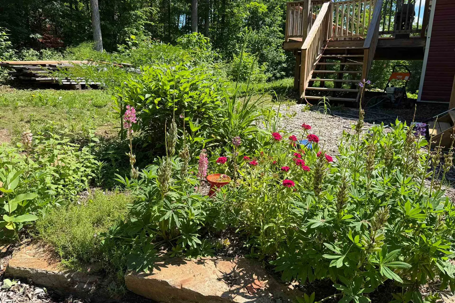 1048 Bacon Road photo 4