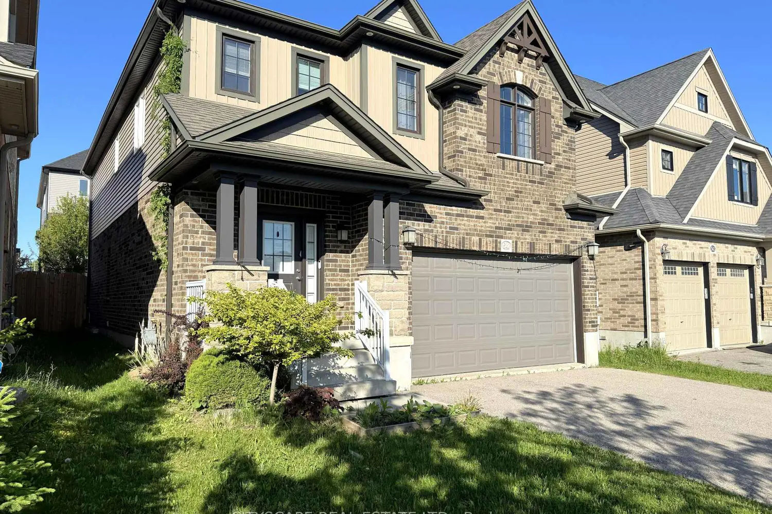 541 Sundew Drive photo 2