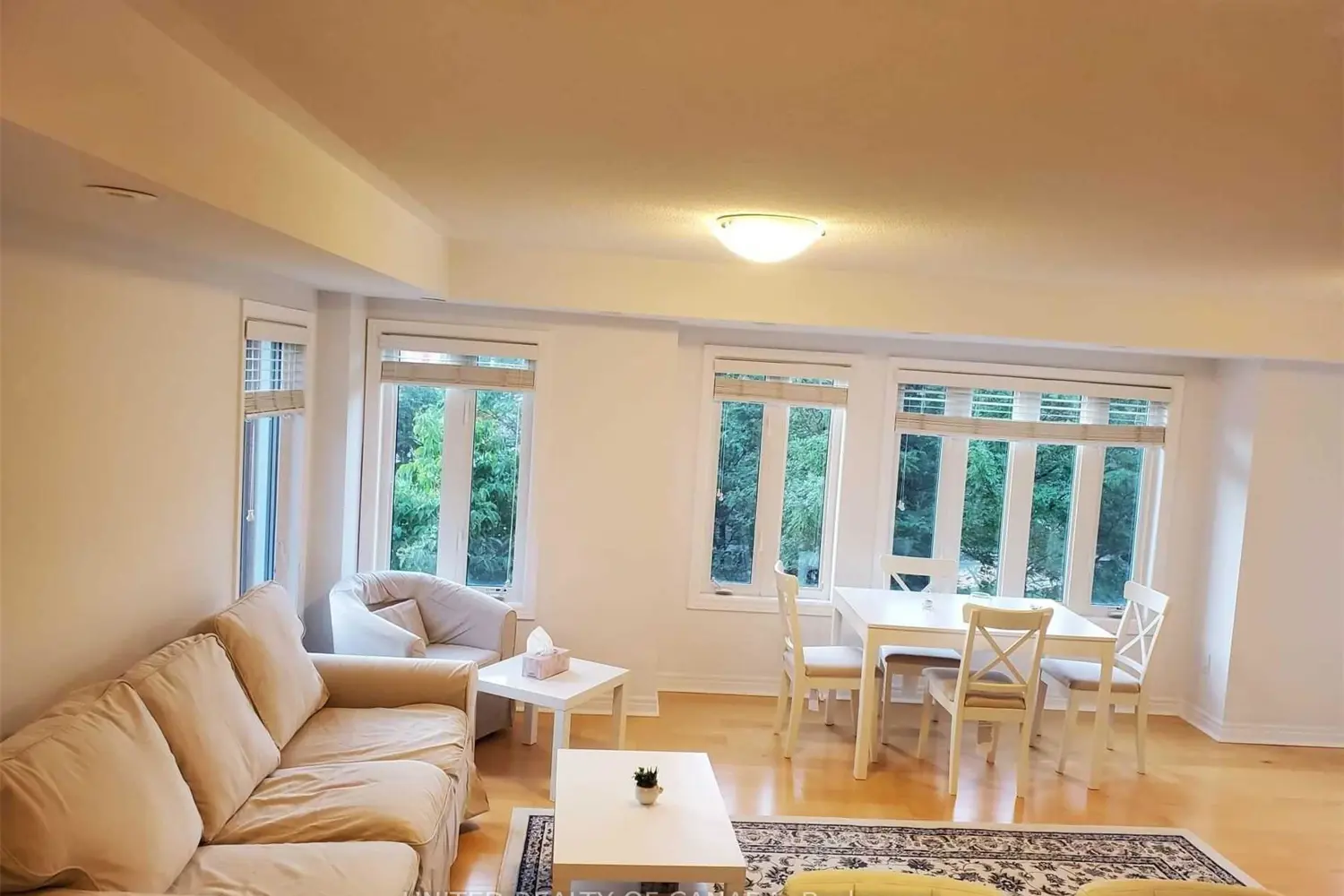312 John Street 330 photo 3