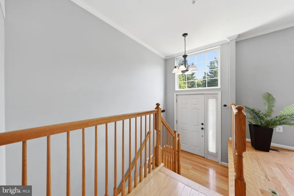 3625 Singleton Terrace, Frederick, MD 21704 photo 4