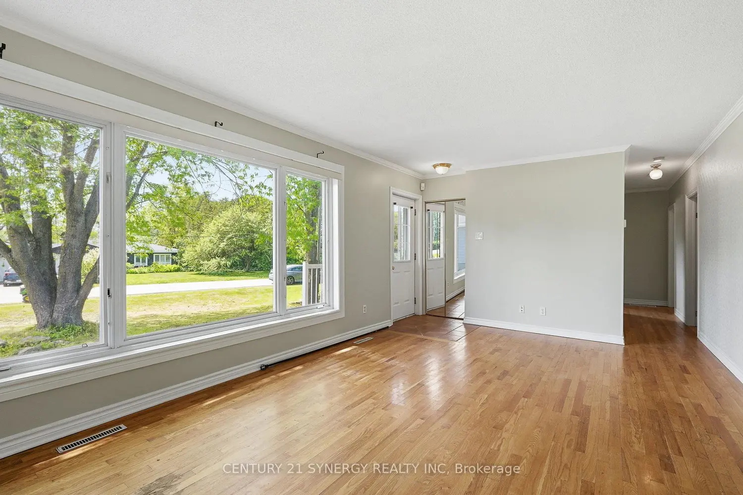 3941 Shirley Avenue photo 2