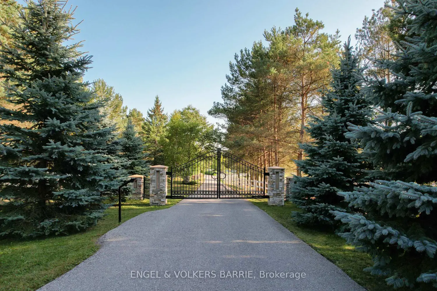 419 Goodwood Rd Road photo 2