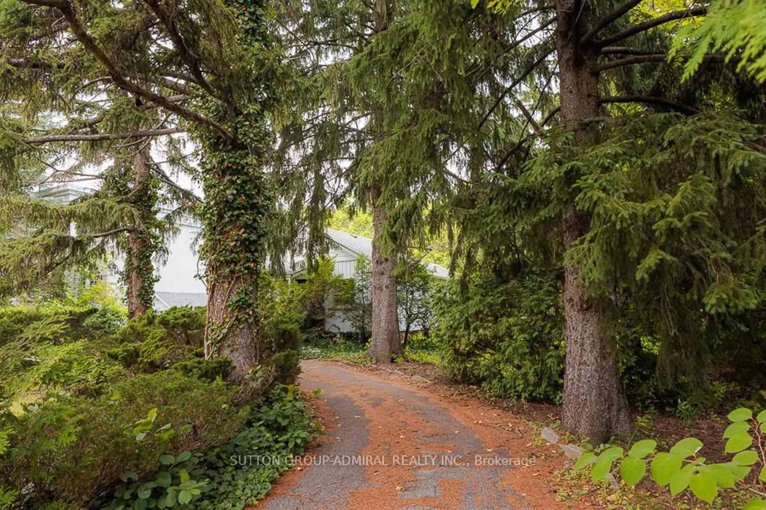 60 Arnold Avenue photo 3
