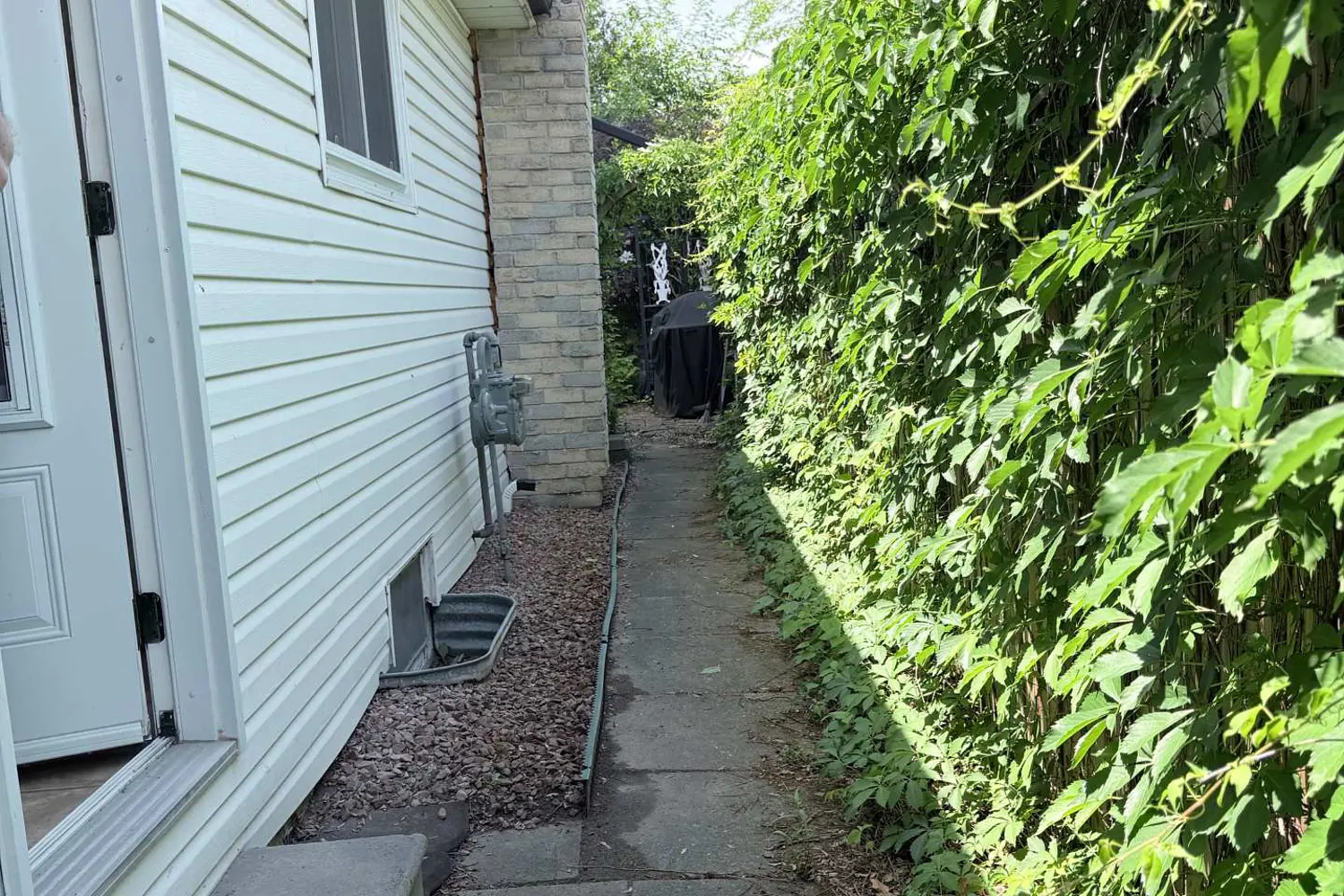 1776 Briarwood Drive photo 3