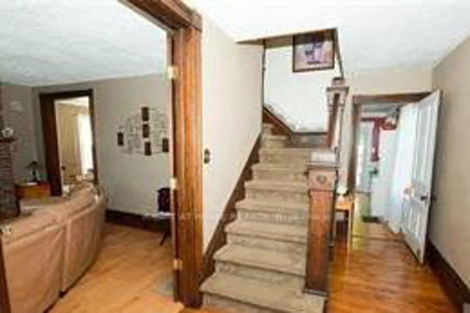 38 Albert Street photo 2