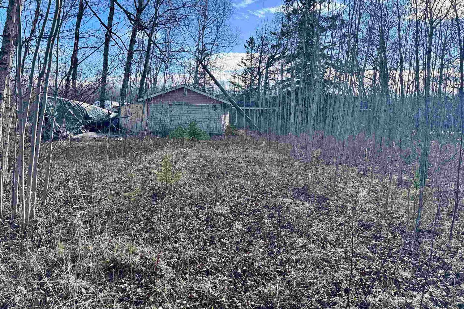 99 Kreger Road photo 4