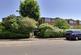 HOLLY DRIVE, WATERLOOVILLE