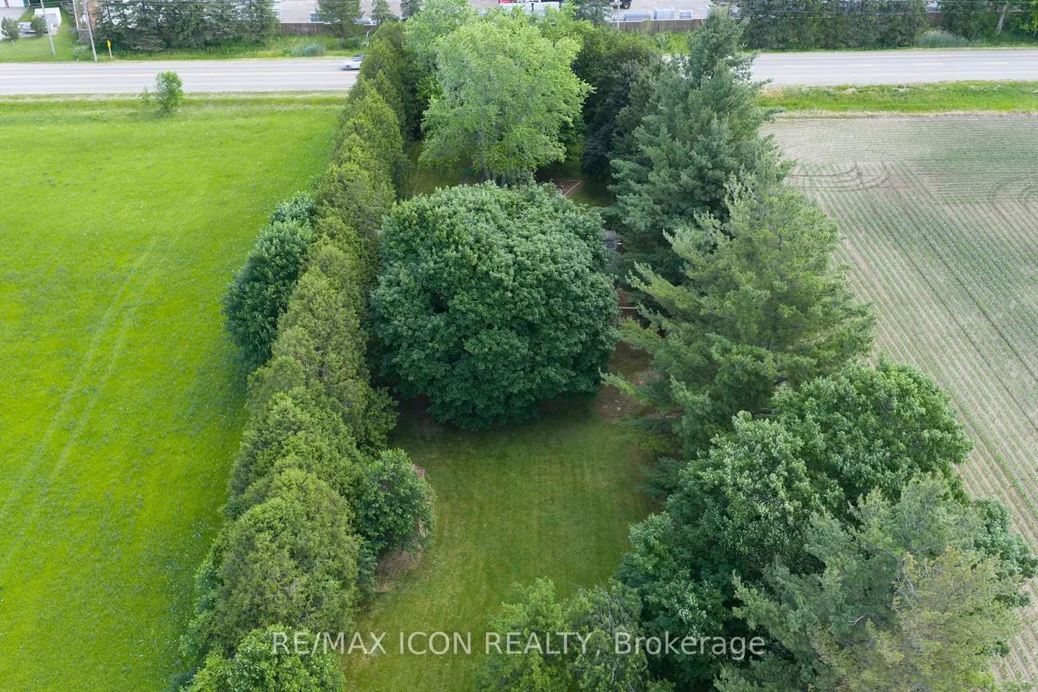 23163 Nairn Road photo 2