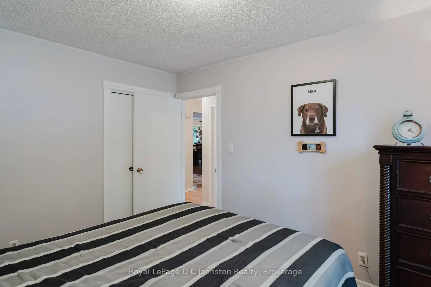 217 Albert Street photo 4