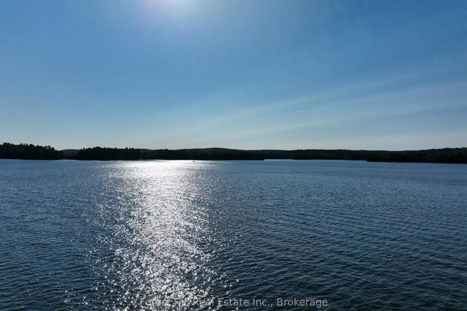 10689 Kawagama Lake Wao photo 2