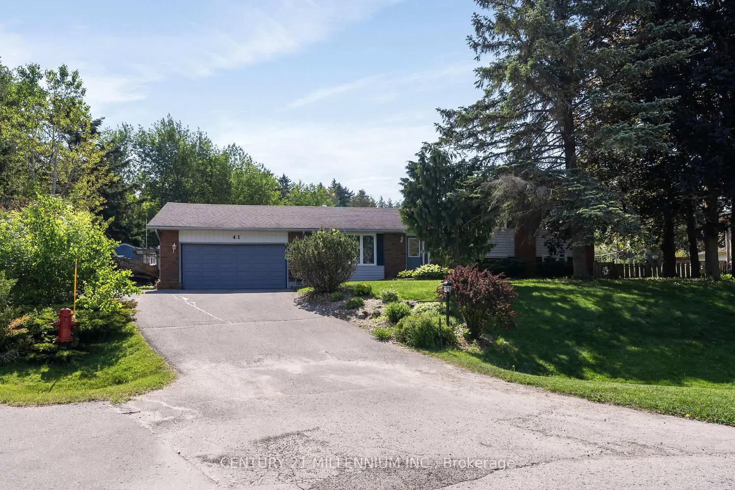 41 Douglas Crescent photo 3
