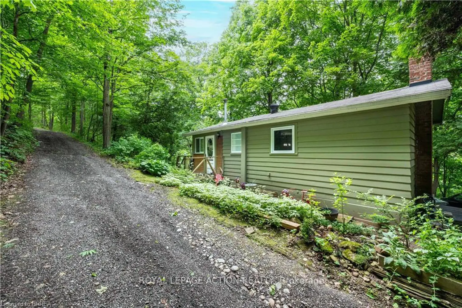 551 East River Road photo 3