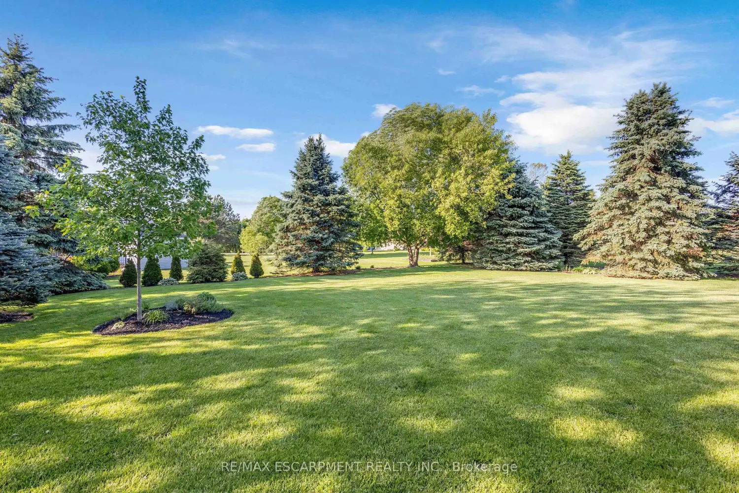 25 Brian Drive photo 5