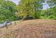 Vinehall Road, Mountfield, Robertsbridge photo 5