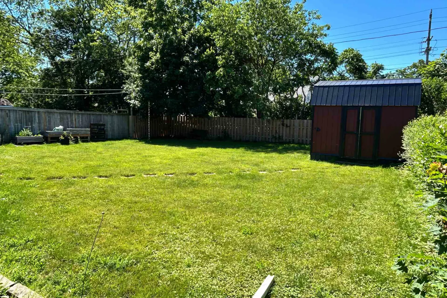 52 Carter Street photo 4