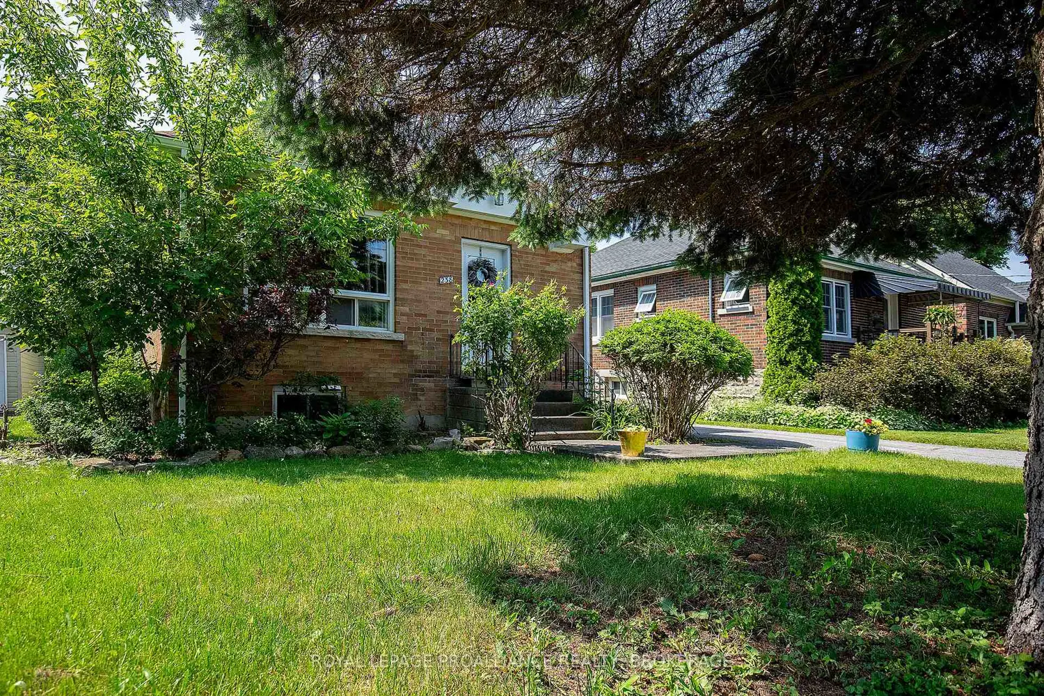 238 Mack Street photo 2