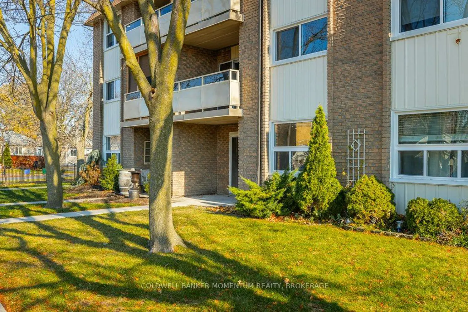 41 Rykert Street 103