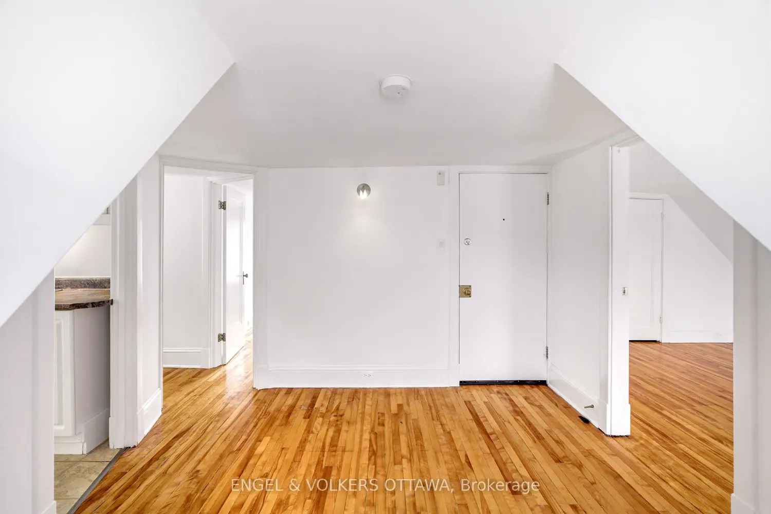 491 Mcleod Street photo 5