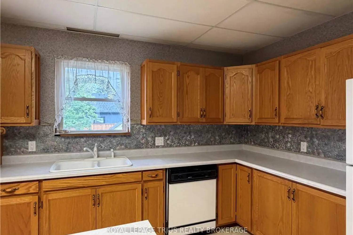 339 Norfolk Street photo 4
