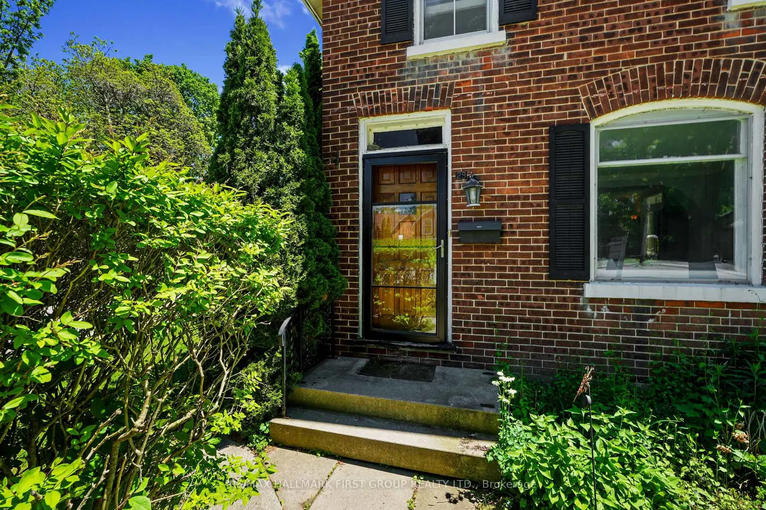 29 Ellen Street photo 3