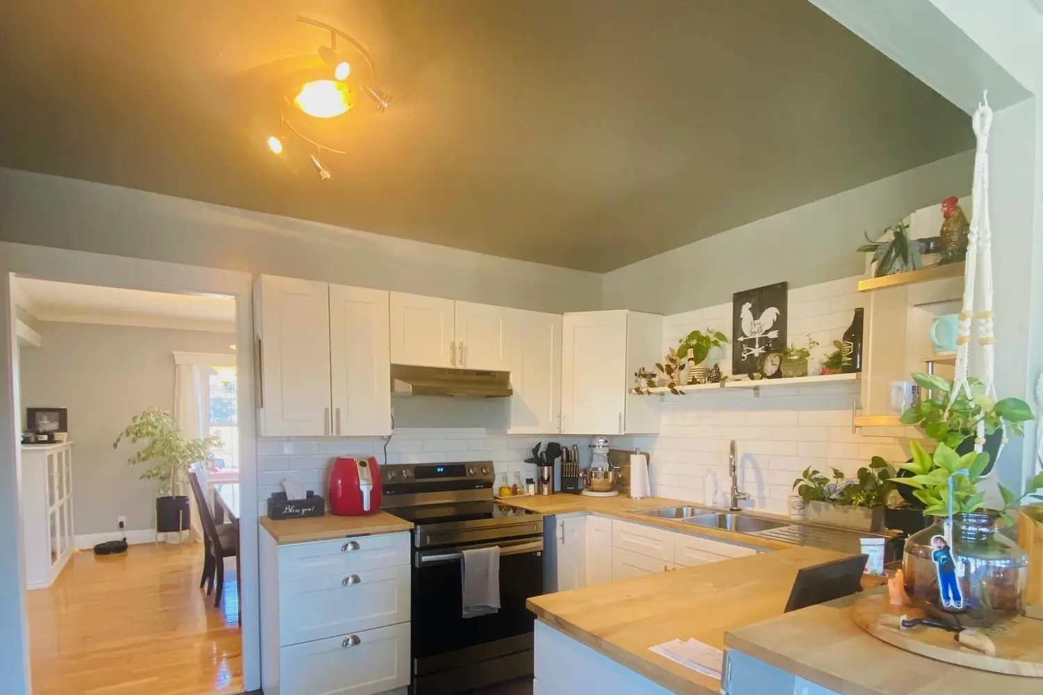 209 Mckenzie Avenue photo 4