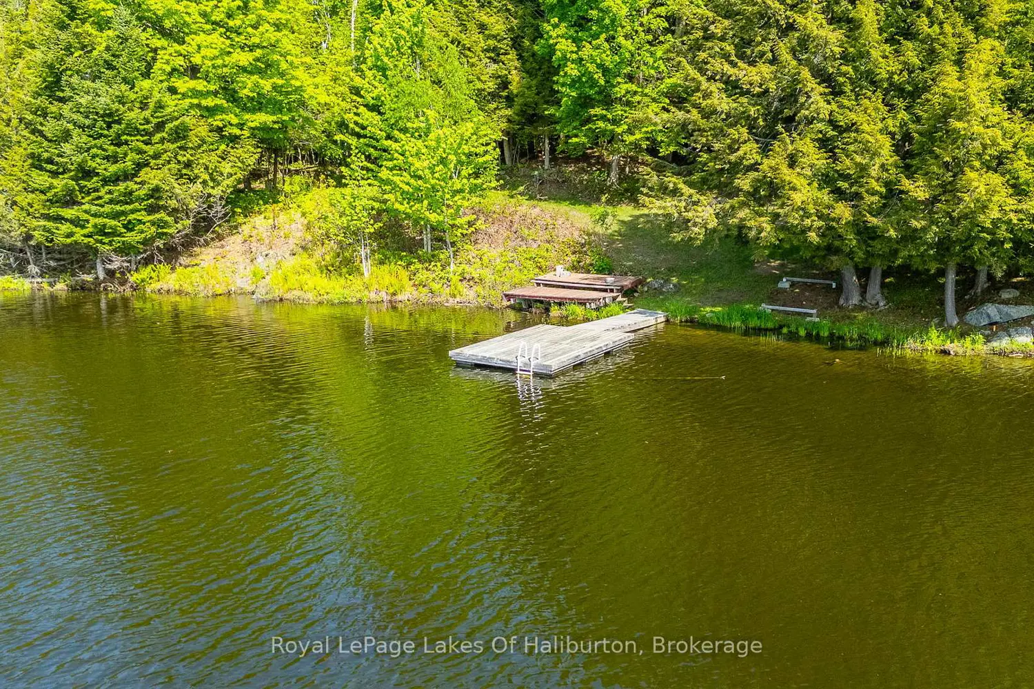 1123 Balmoral Lane photo 3